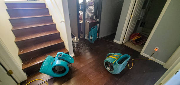 Best Water damage contractors near me  in Wellsville, KS