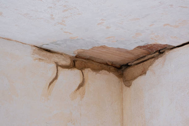 Best Flood damage cleanup  in Wellsville, KS